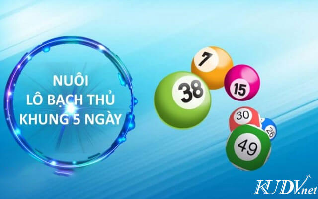 cách đánh lô gấp thếp nuôi khung